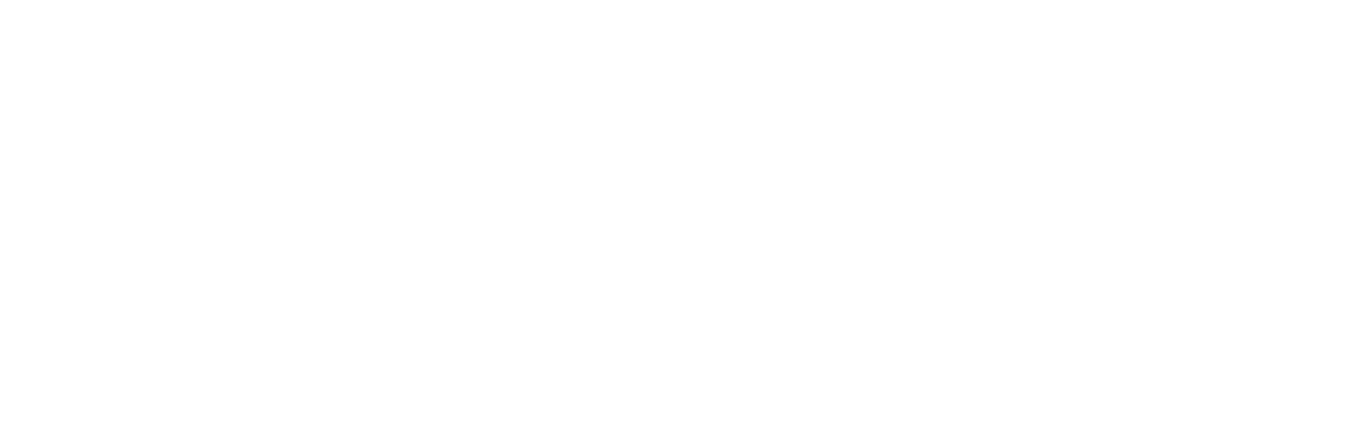 Team No Limit Solutins Logo